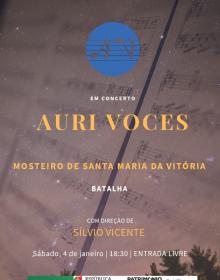 Concerto de ano novo